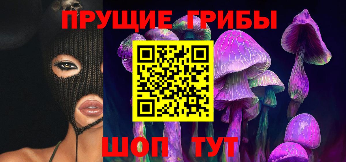 Михайловск  Псилоцибиновые грибы Psilocybine cubensis  Вход с VPN 