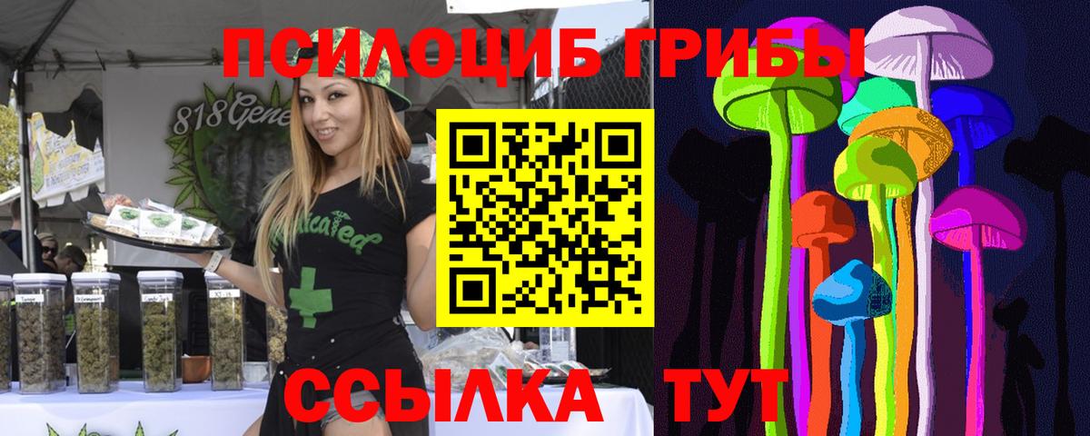 Псилоцибиновые грибы MAGIC MUSHROOMS Михайловск